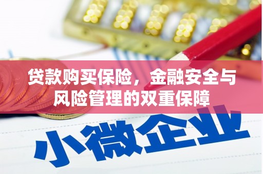 临安贷款购买保险，金融安全与风险管理的双重保障