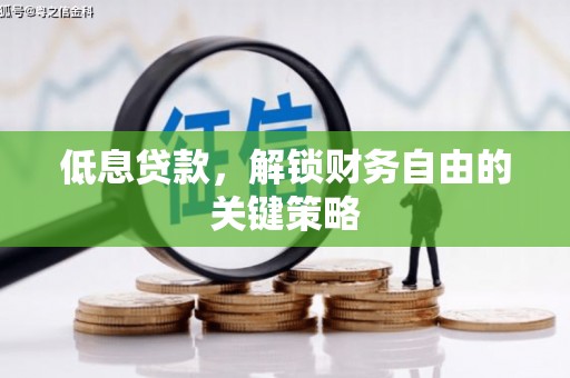 临安低息贷款，解锁财务自由的关键策略