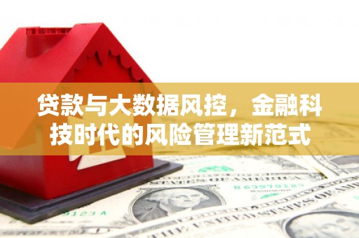 临安贷款与大数据风控，金融科技时代的风险管理新范式
