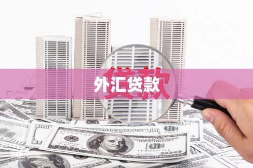 临安外汇贷款