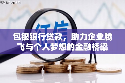 临安包银银行贷款，助力企业腾飞与个人梦想的金融桥梁