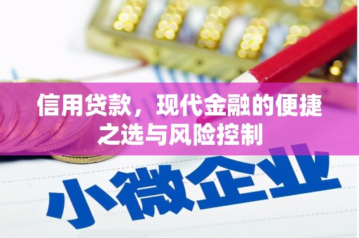 临安信用贷款，现代金融的便捷之选与风险控制