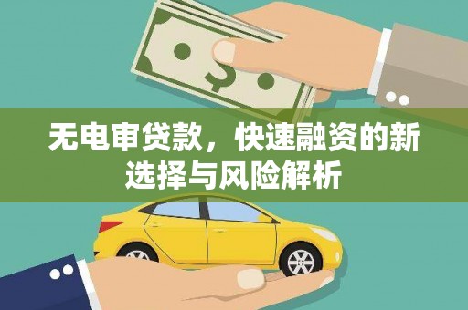 临安无电审贷款，快速融资的新选择与风险解析