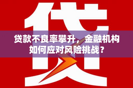 临安贷款不良率攀升，金融机构如何应对风险挑战？