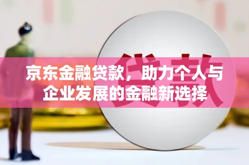 临安京东金融贷款，助力个人与企业发展的金融新选择
