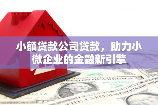 临安小额贷款公司贷款，助力小微企业的金融新引擎