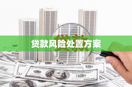 临安贷款风险处置方案