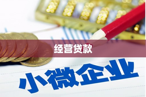 临安经营贷款