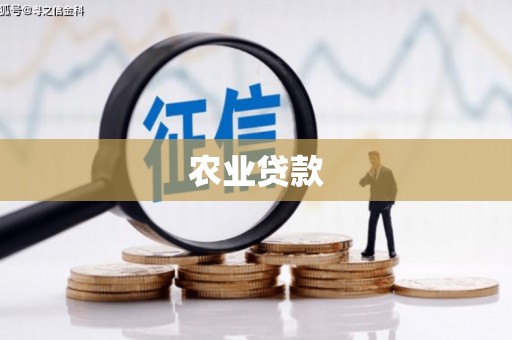 临安农业贷款