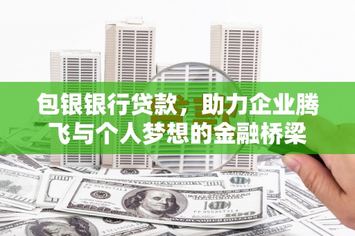 临安包银银行贷款，助力企业腾飞与个人梦想的金融桥梁