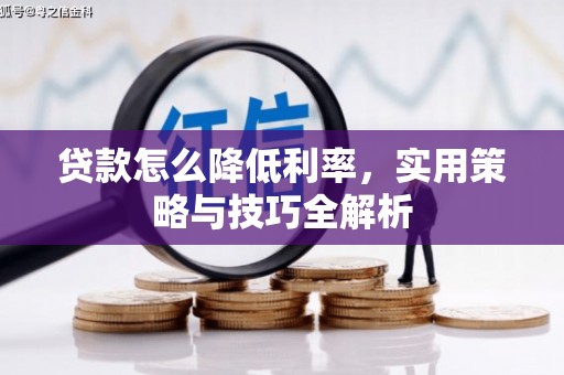 临安贷款怎么降低利率，实用策略与技巧全解析