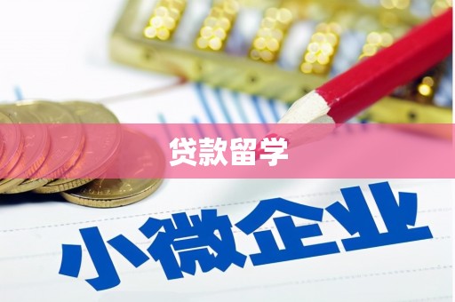 临安贷款留学