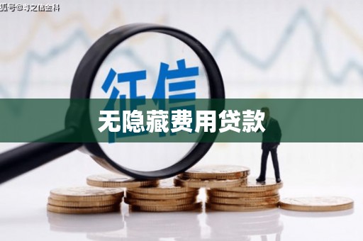 临安无隐藏费用贷款