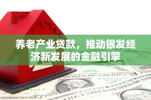 临安养老产业贷款，推动银发经济新发展的金融引擎