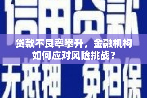 临安贷款不良率攀升，金融机构如何应对风险挑战？