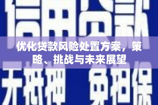 临安优化贷款风险处置方案，策略、挑战与未来展望