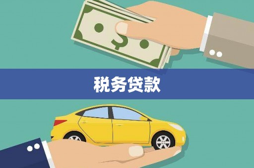 临安税务贷款