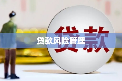临安贷款风险管理