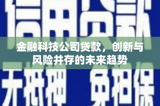 临安金融科技公司贷款，创新与风险并存的未来趋势