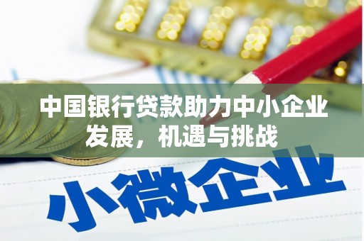 临安中国银行贷款助力中小企业发展，机遇与挑战