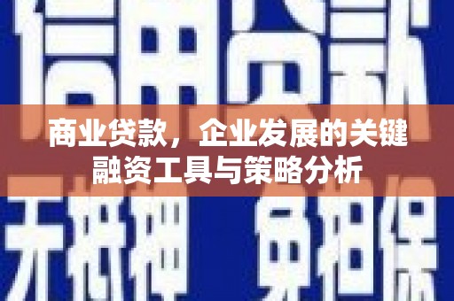 临安商业贷款，企业发展的关键融资工具与策略分析