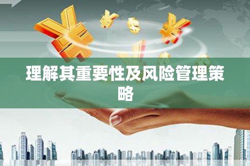 临安理解其重要性及风险管理策略