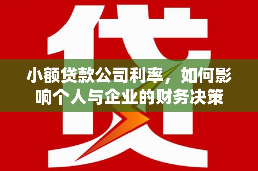 临安小额贷款公司利率，如何影响个人与企业的财务决策