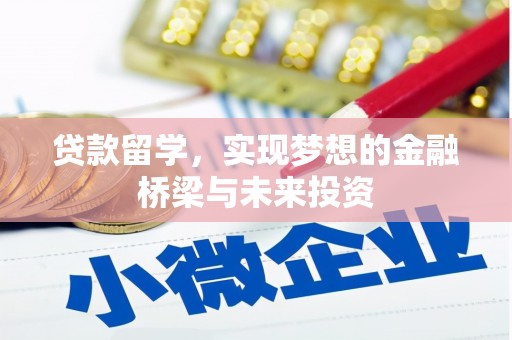 临安贷款留学，实现梦想的金融桥梁与未来投资
