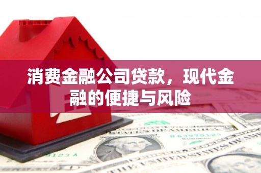 临安消费金融公司贷款，现代金融的便捷与风险