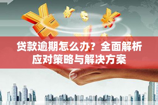 临安贷款逾期怎么办？全面解析应对策略与解决方案