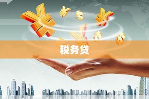 临安税务贷