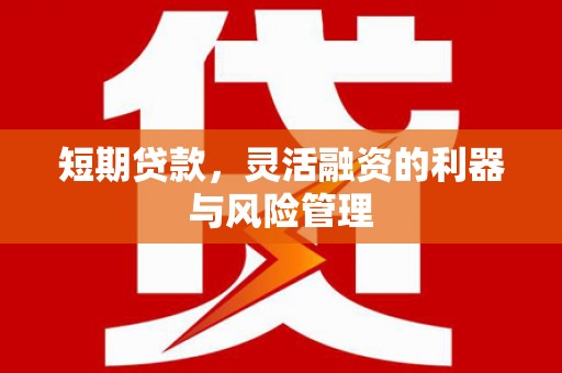 临安短期贷款，灵活融资的利器与风险管理