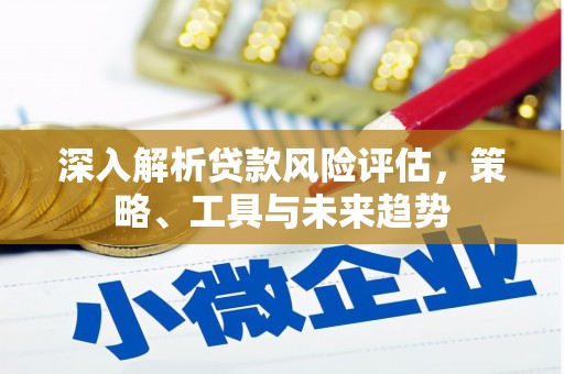 临安深入解析贷款风险评估，策略、工具与未来趋势