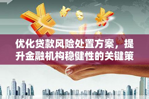临安优化贷款风险处置方案，提升金融机构稳健性的关键策略