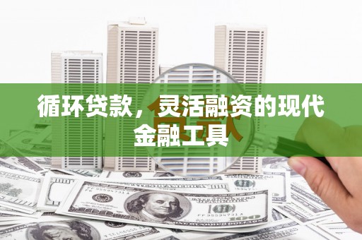 临安循环贷款，灵活融资的现代金融工具