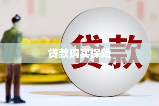 临安贷款购买保险