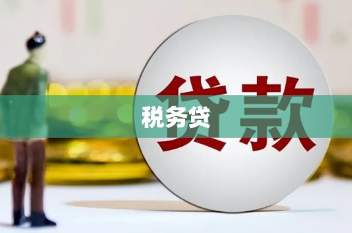 临安税务贷