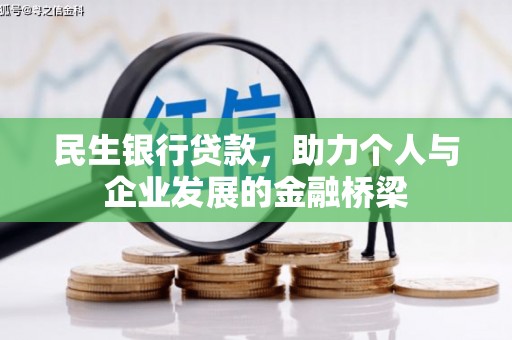 临安民生银行贷款，助力个人与企业发展的金融桥梁