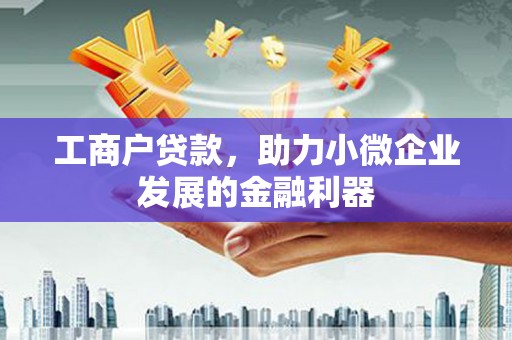 临安工商户贷款，助力小微企业发展的金融利器