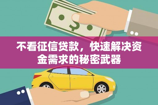 临安不看征信贷款，快速解决资金需求的秘密武器