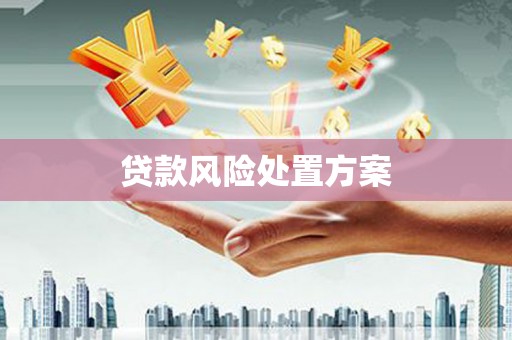 临安贷款风险处置方案
