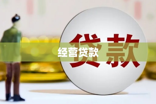 临安经营贷款