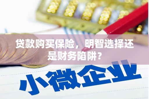 临安贷款购买保险，明智选择还是财务陷阱？