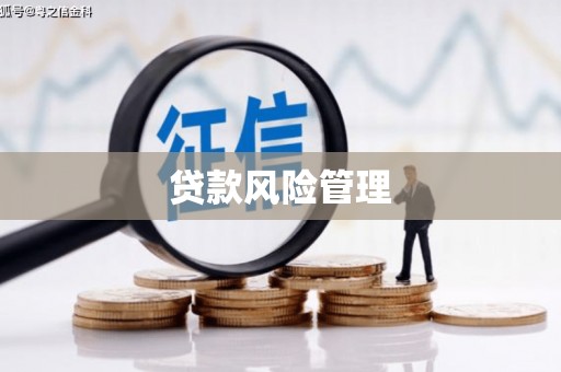 临安贷款风险管理
