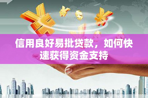 临安信用良好易批贷款，如何快速获得资金支持