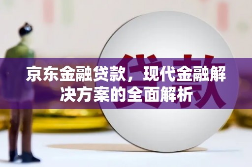 临安京东金融贷款，现代金融解决方案的全面解析