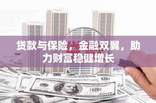 临安贷款与保险，金融双翼，助力财富稳健增长