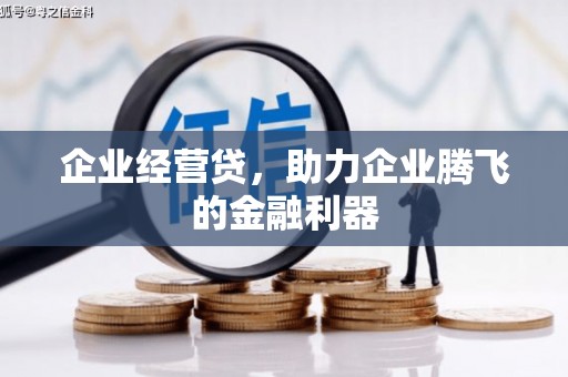 临安企业经营贷，助力企业腾飞的金融利器