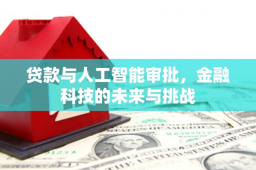 临安贷款与人工智能审批，金融科技的未来与挑战