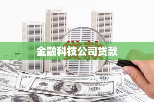 临安金融科技公司贷款